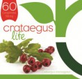 Crataegus Life